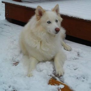 *Not For Sale* - Read Before Buying